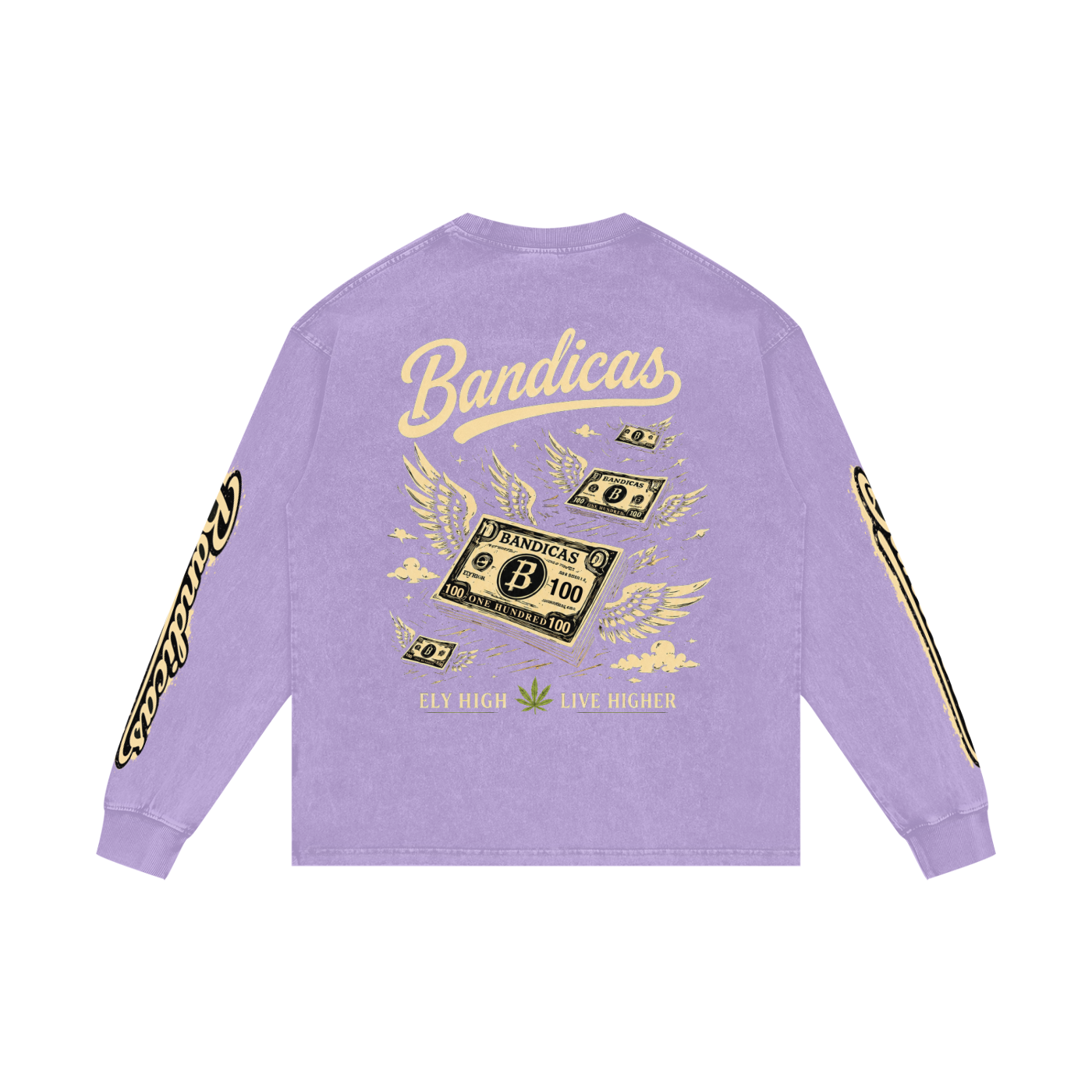 Bandicas acid washed Long Sleeve T-Shirt